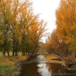 Thowgla Creek in Autumn
